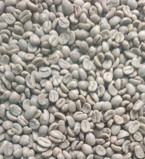 Café Fully Washed (Complètement Lavé)